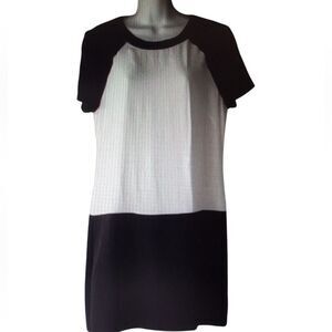 Banana Republic Black and White Silk Mini Dress